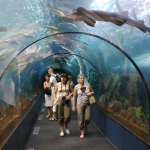 Twin Ticket - Image 10