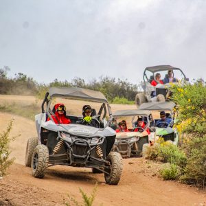 Buggy - volcanoes of Tenerife - Image 6