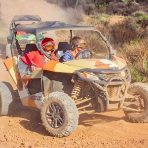 Buggy - volcanoes of Tenerife - Image 9
