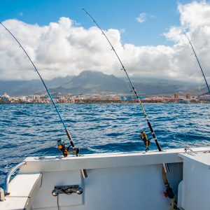 Sport fishing - Image 6