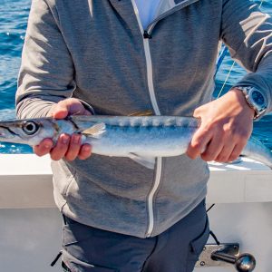 Sport fishing - Image 5