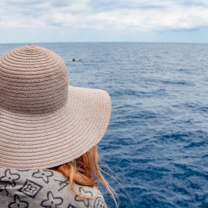 Private charter with a captain - Image 5