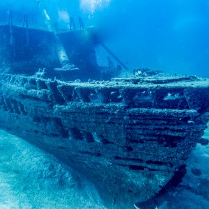 Diving for advanced - Image 8