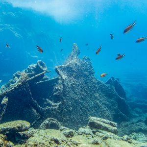 Diving for advanced - Image 5