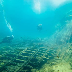 Diving for advanced - Image 6