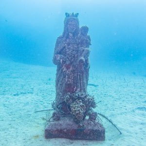 Diving for advanced - Image 11