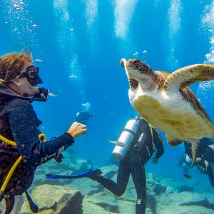 teneryfa atrakcje - Nurkowanie na Teneryfie z żółwiem
