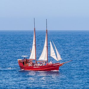 Rejs na wieloryby Piotruś Pan