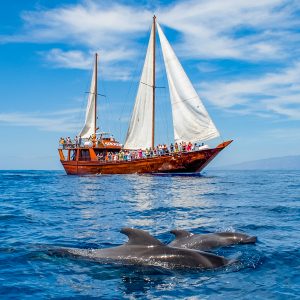 Rejs na wieloryby - Shogun