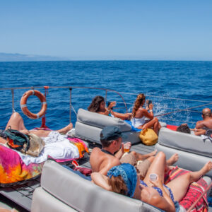 Catamaran - whale watching - Image 7