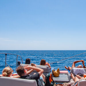Catamaran - whale watching - Image 6