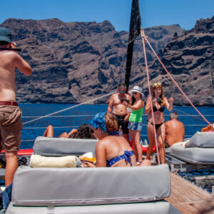 Catamaran - Los Gigantes & whale watching - Image 8