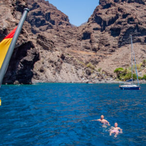 Catamaran - Los Gigantes & whale watching - Image 11