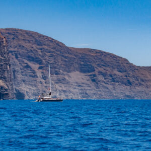 Catamaran - Los Gigantes & whale watching - Image 6