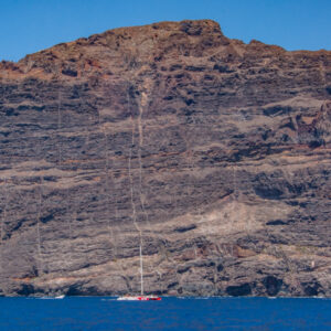Catamaran - Los Gigantes & whale watching - Image 4