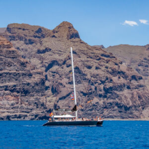 Catamaran - Los Gigantes & whale watching - Image 5