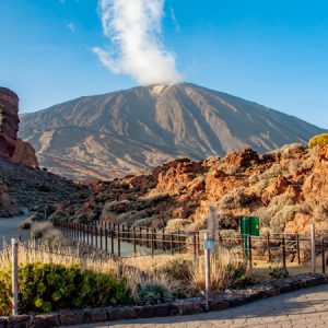 Teide Half-Day Tour