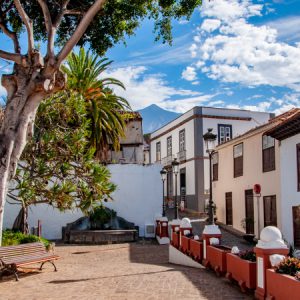 Gran Tour - Teide Masca - Image 8