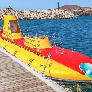 Submarine Safari - Image 3